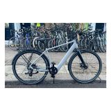 Paddle Electric Bike